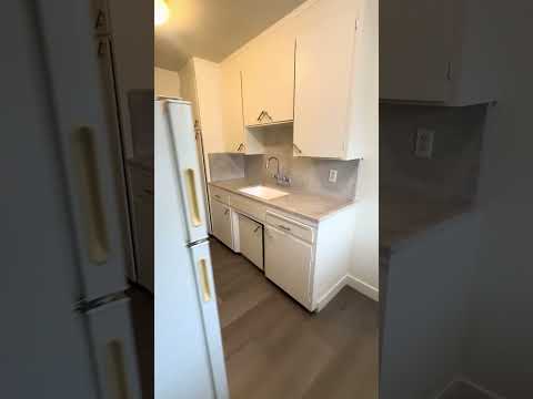 David 3047 - Video 2 of 2
