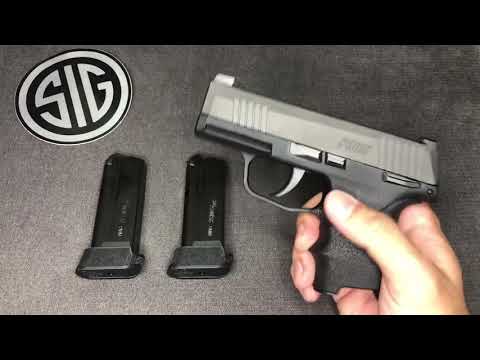 sig sauer p365 + hogue black
