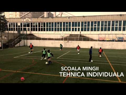 Navobi Iași: munca, sacrificiu, determinare