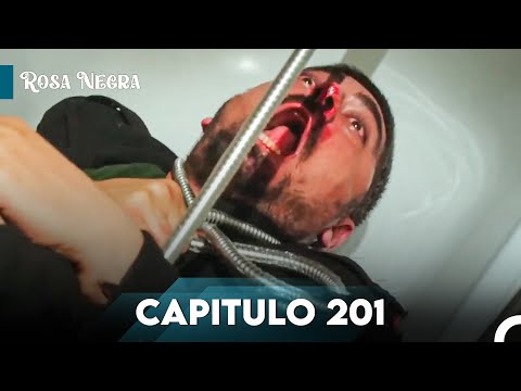 Rosa Negra Capítulo 201 | Doblado en Español