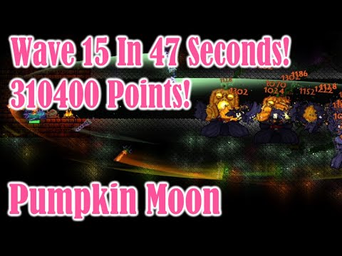 Zenith Vs. Pumpkin Moon - 310,400 points!