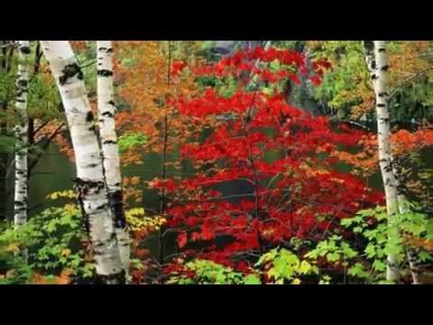 بكتب اسمك ياحبيبي ع الحور العتيق - فيروز