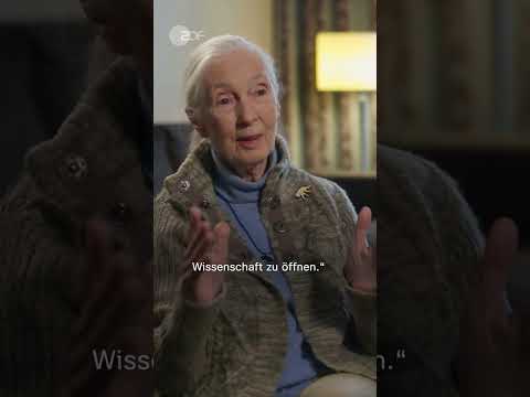 Berühmte Schimpansen-Forscherin Jane Goodall gestorben | #shorts #Goodall #Affen #ZDFheute
