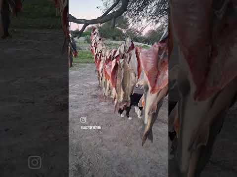 #pesca santiago del Estero