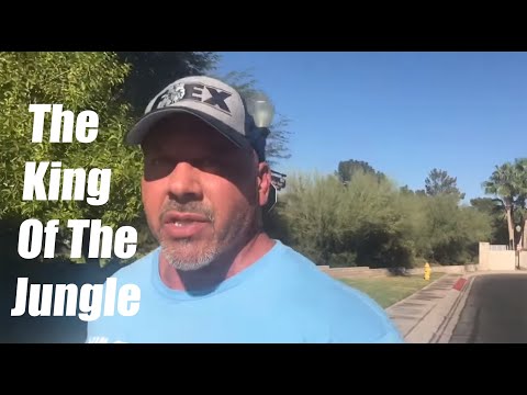 R.E.M. "The King Of The Jungle" | #RhinosRhants #TenTalks