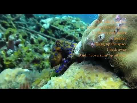 In Rime w/ Terence McKenna & John Frusciante