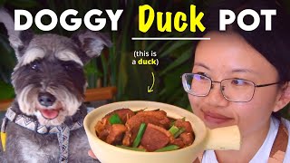 The Traditional Dog Meat Flavor Profile thumbnail