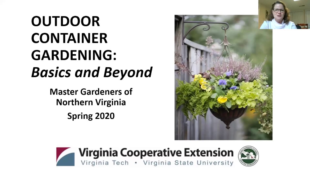 Outdoor Container Gardening: Basics and Beyond