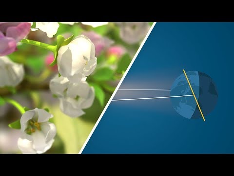 How do the seasons arise?