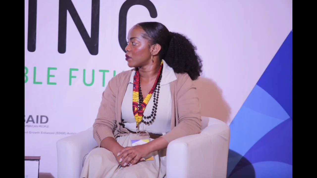 Mobilising More for Climate Change (MoMo4C) at the Zambia Impact Investment Summit 2023