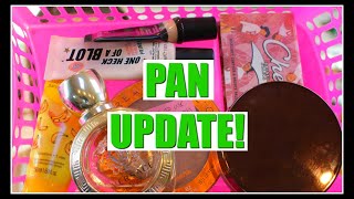 Rolling Project Pan 2020 Update!