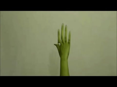 Slices of Life–The Shirt