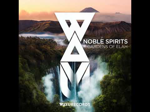 Noble Spirits - Gardens of Elah (Holed Coin Remix)