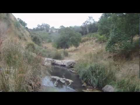 Gopro Small creek Trout on dry fly, 0wt and 3wt rods