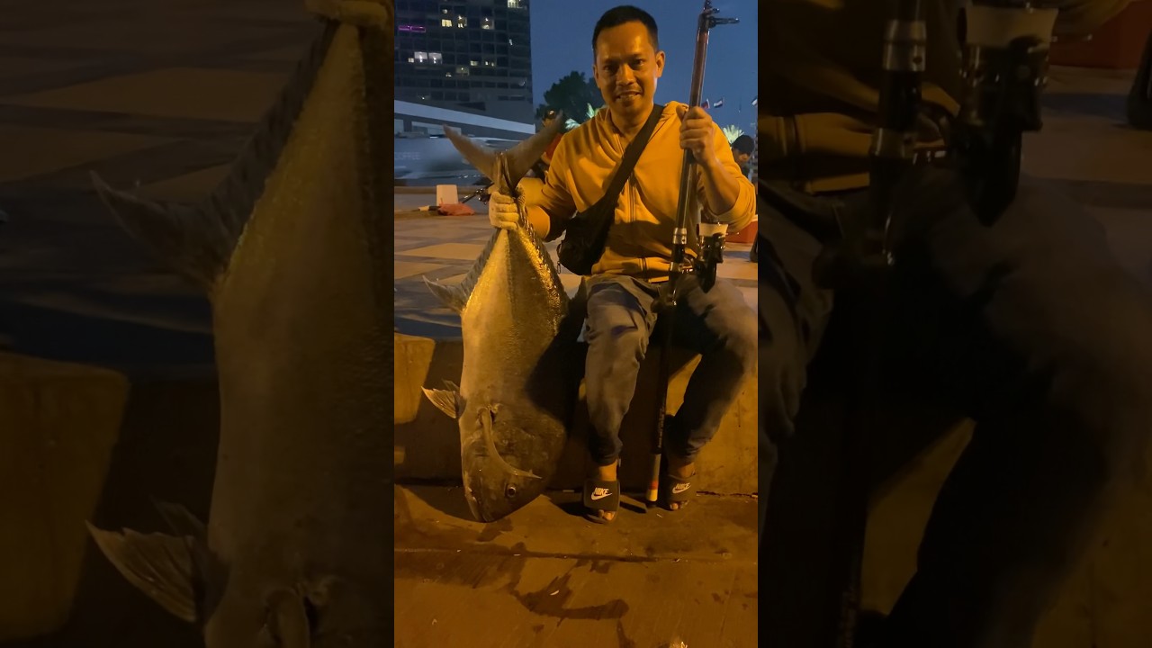 GIANT! 18KG RECORD BREAKING FISH! CAUGHT BY KA-NOLLY #shorts