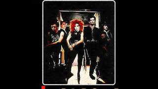 Cebras - Dinarama + Alaska