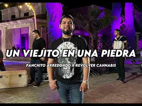 Un Viejito En Una Piedra | Panchito Arredondo x Revolver Cannabis