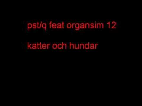 pst /q  feat  organism 12- katter och hundar