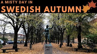 A misty autumn day in Sweden