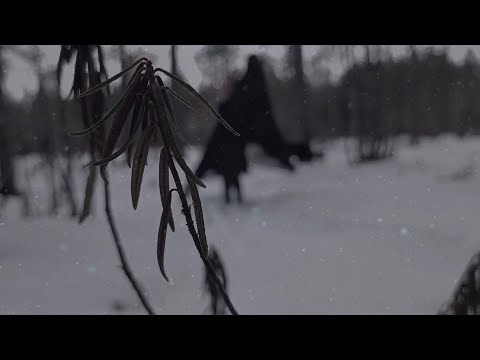 Dark The Suns feat. Paavo Laapotti - Raven (Official Music Video)