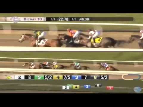 01.11.2013 Santa Anita Park (USA) 10.Race Breeders Cup Distaff 2013 - Group I 1.818 m