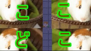 ~まさかの大量カット~もるたそクラフトpart4【minecraft】