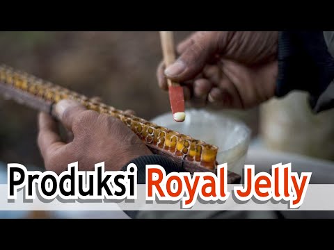 , title : 'Produksi Royal Jelly'