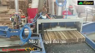 Dây chuyền ghép Finger tự động IAT-620. Đỉnh cao của máy gỗ ghép thanh