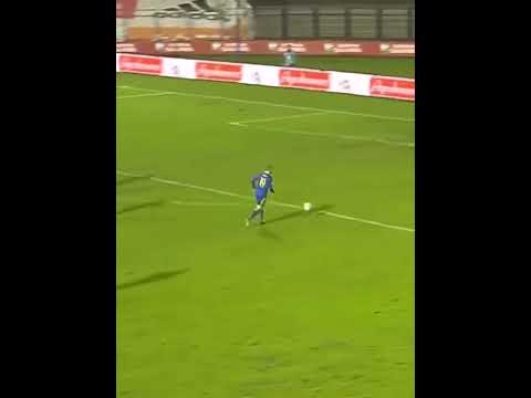 Bosnia & Herzegovina vs. Belgium 2:1 | Edin Visca