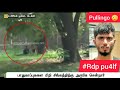 Gumbala Suthuvom The Pullingo Version The Lion Man
