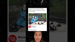 Download lagu In china you can work as a panda Cuddler where you get paid to hug and care for pandas mp3