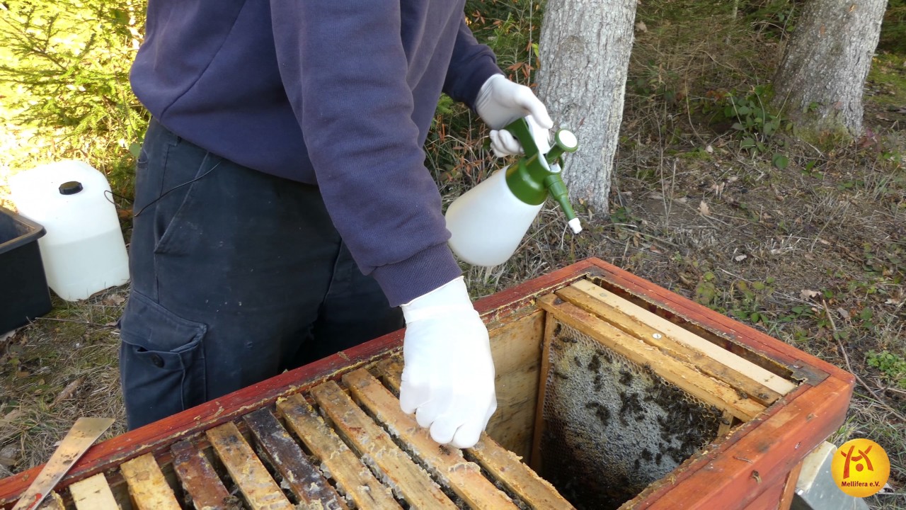 Oxalsäure-Sprühverfahren zur Varroa-Behandlung zugelassen - Mellifera e. V.