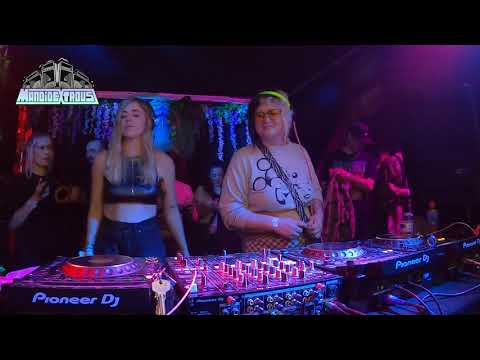 Mandidextrous b2b [IVY] Live @ Frequencies, Leeds 12.05.2023