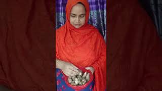 Download lagu #hijab #love #live #food #everyone #cooking #nicetaste #recipe #nicee #mango #yummy mp3