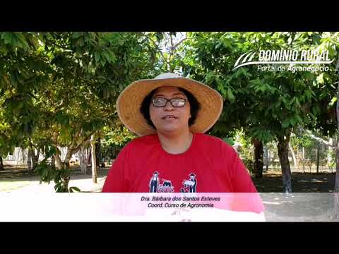 Coordenadora do curso de agronomia explica os objetivos do Projeto Integração 2019