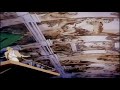 Animaniacs Song Of The Roofs Russian 2014