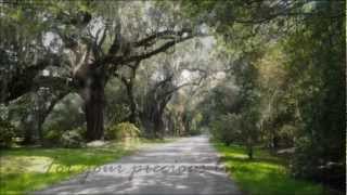 Kenny Vance &amp; The Planotones - For Your Precious Love [with lyrics]