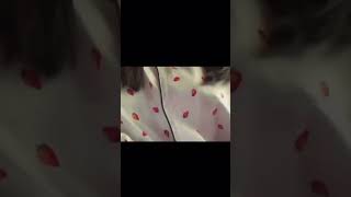 【練乳注意】苺100%えっちな苺の増やし方