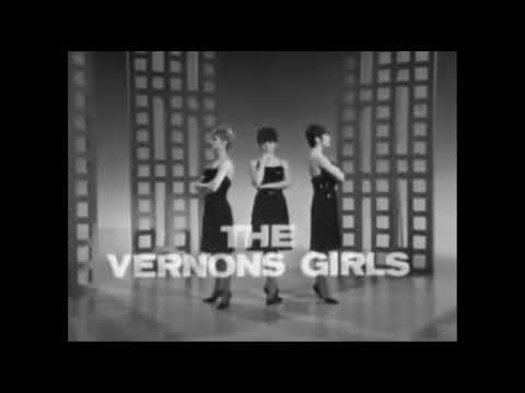 vernon girls - you know what i mean