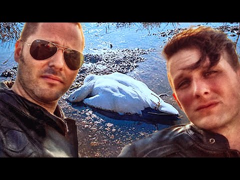 We Accidentally Found out Why There Are No Birds in China