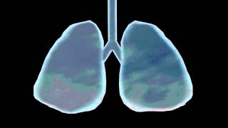 The Red in the Sky is Ours