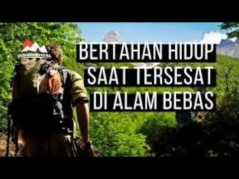 Sungguh Luar Biasa!!! Survival ||Bertahan Hidup Dialam Bebas Part 2