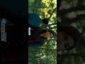 BULLET SONG HD FULL SCREEN WHATSAPP STATUS ️GEORGE REDDY ️ TELUGU ️