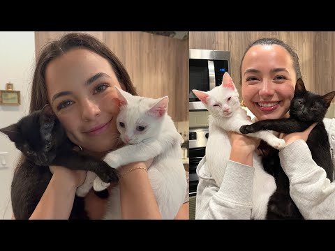 Meeting Nessa's Kittens!