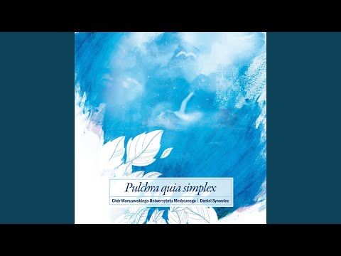 Rihards Dubra: Ave Maria II