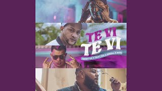 Te Vi Te Vi Music Video