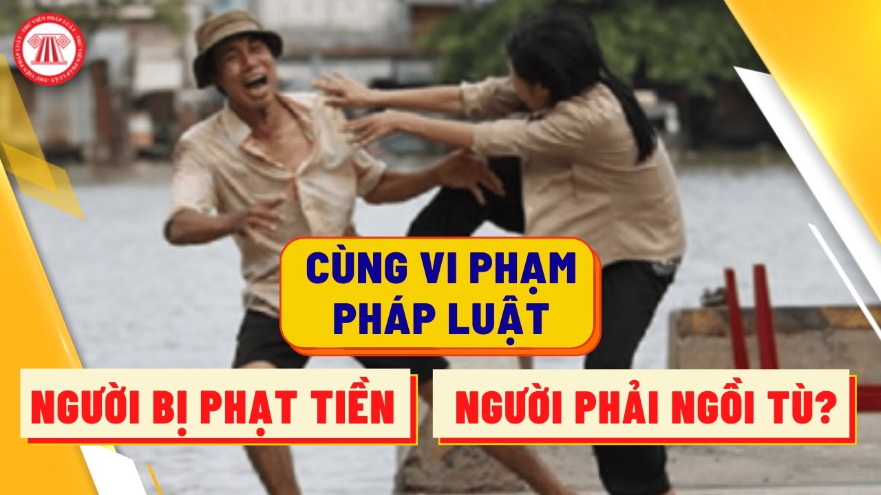 Cùng Là Vi Phạm Pháp Luật, Sao Có Người Bị Phạt Tiền, Có Người Phải Ngồi Tù? | TVPL