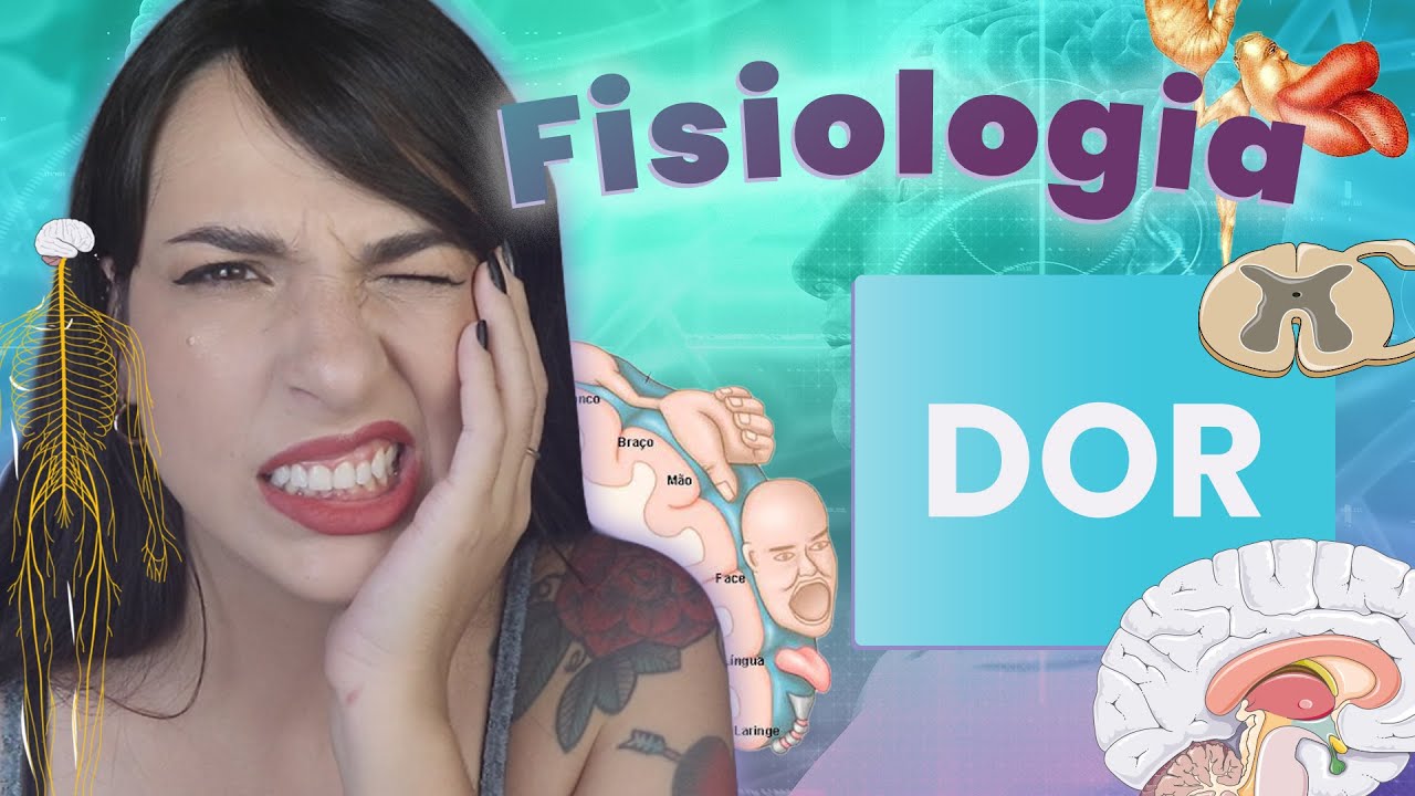 Fisiologia da dor | Fisiologia | Flavonoide