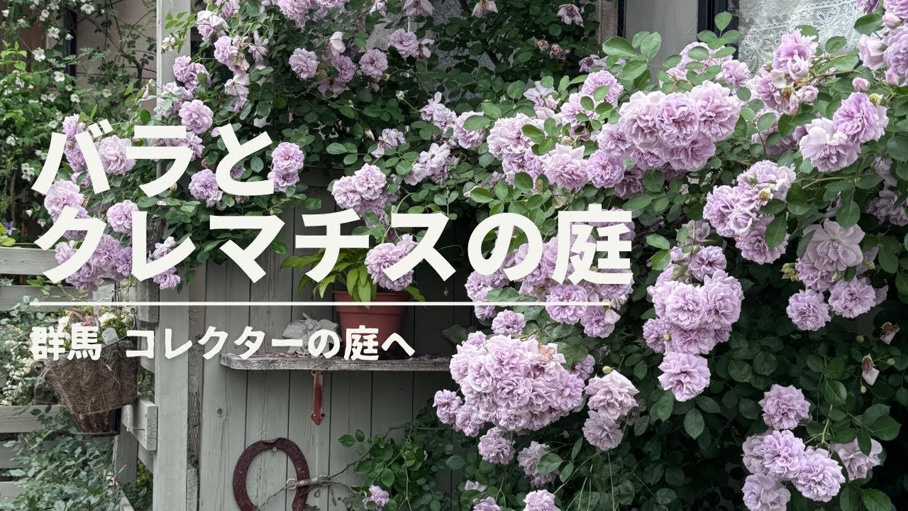 バラとクレマチスの庭