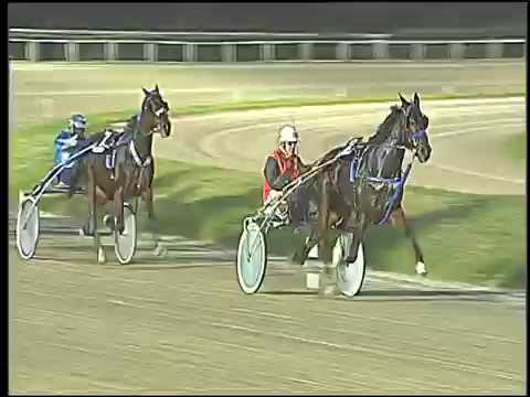 Trotto 18/11/2016 - 4ª corsa